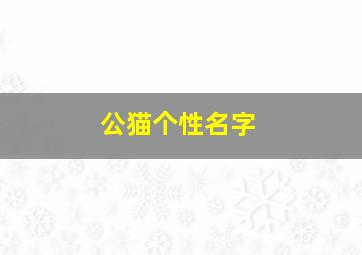 公猫个性名字