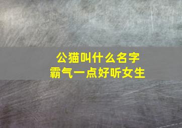 公猫叫什么名字霸气一点好听女生