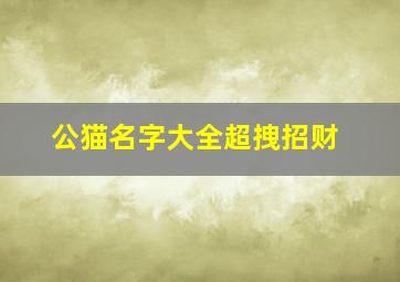 公猫名字大全超拽招财