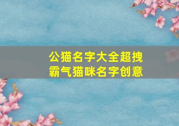 公猫名字大全超拽霸气猫咪名字创意