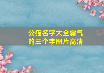 公猫名字大全霸气的三个字图片高清