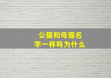 公猫和母猫名字一样吗为什么