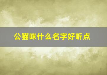 公猫咪什么名字好听点