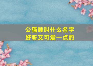 公猫咪叫什么名字好听又可爱一点的