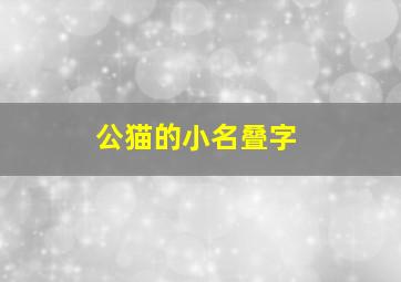 公猫的小名叠字