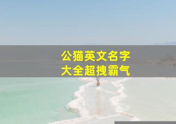 公猫英文名字大全超拽霸气