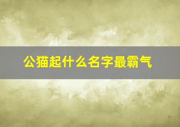 公猫起什么名字最霸气