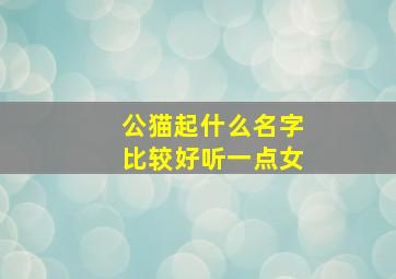 公猫起什么名字比较好听一点女