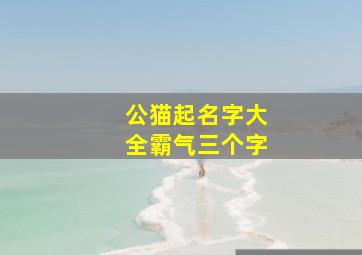 公猫起名字大全霸气三个字