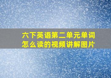 六下英语第二单元单词怎么读的视频讲解图片