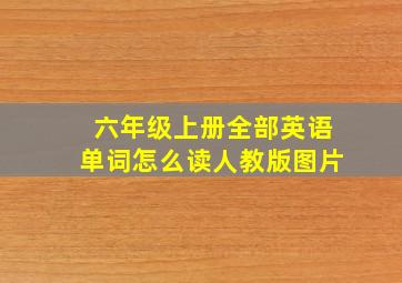 六年级上册全部英语单词怎么读人教版图片