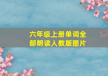 六年级上册单词全部朗读人教版图片