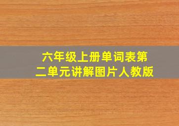 六年级上册单词表第二单元讲解图片人教版