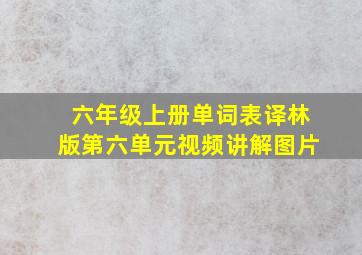 六年级上册单词表译林版第六单元视频讲解图片