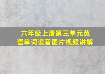 六年级上册第三单元英语单词读音图片视频讲解