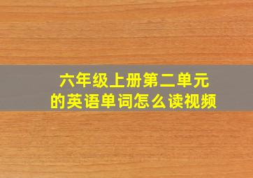 六年级上册第二单元的英语单词怎么读视频