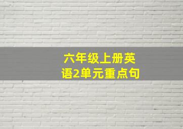 六年级上册英语2单元重点句