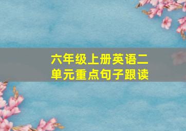 六年级上册英语二单元重点句子跟读