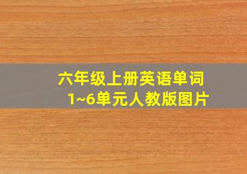 六年级上册英语单词1~6单元人教版图片