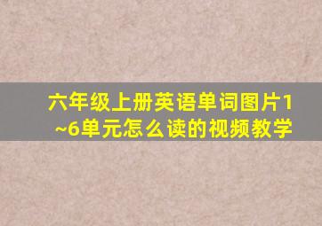 六年级上册英语单词图片1~6单元怎么读的视频教学