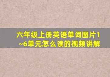 六年级上册英语单词图片1~6单元怎么读的视频讲解