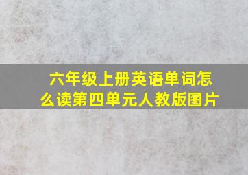 六年级上册英语单词怎么读第四单元人教版图片