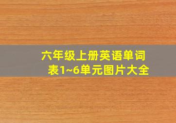 六年级上册英语单词表1~6单元图片大全