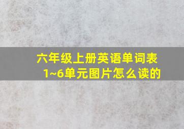 六年级上册英语单词表1~6单元图片怎么读的