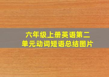 六年级上册英语第二单元动词短语总结图片