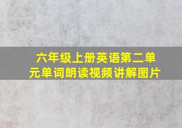 六年级上册英语第二单元单词朗读视频讲解图片