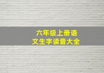 六年级上册语文生字读音大全