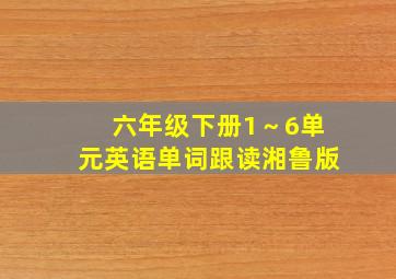 六年级下册1～6单元英语单词跟读湘鲁版