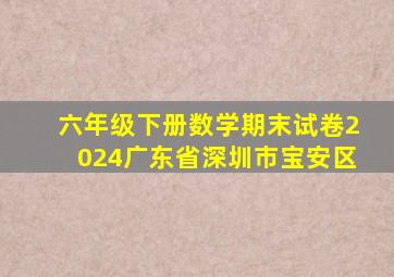 六年级下册数学期末试卷2024广东省深圳市宝安区