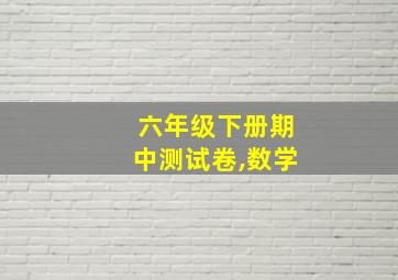 六年级下册期中测试卷,数学