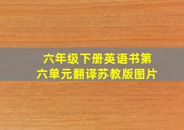 六年级下册英语书第六单元翻译苏教版图片