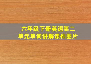 六年级下册英语第二单元单词讲解课件图片