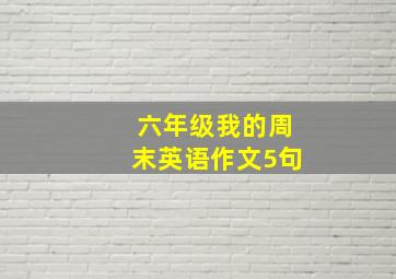 六年级我的周末英语作文5句