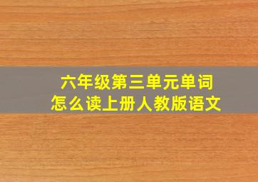 六年级第三单元单词怎么读上册人教版语文