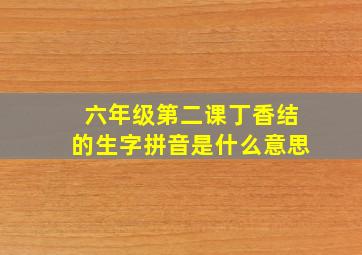 六年级第二课丁香结的生字拼音是什么意思