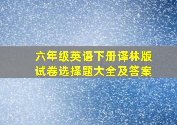 六年级英语下册译林版试卷选择题大全及答案