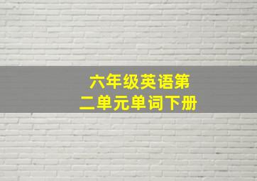 六年级英语第二单元单词下册