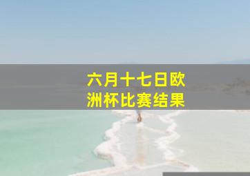 六月十七日欧洲杯比赛结果