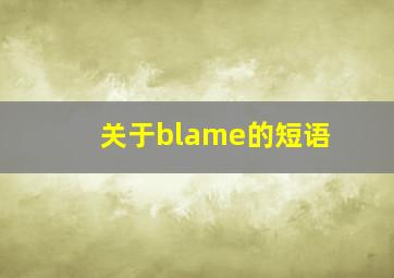 关于blame的短语