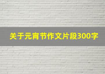 关于元宵节作文片段300字