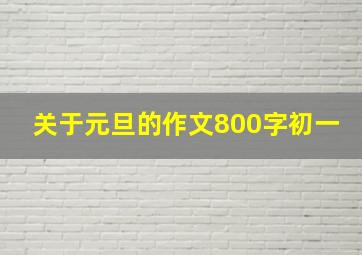 关于元旦的作文800字初一