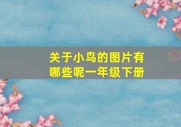 关于小鸟的图片有哪些呢一年级下册