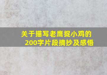 关于描写老鹰捉小鸡的200字片段摘抄及感悟