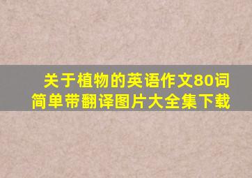 关于植物的英语作文80词简单带翻译图片大全集下载