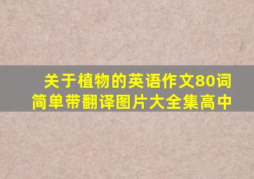 关于植物的英语作文80词简单带翻译图片大全集高中