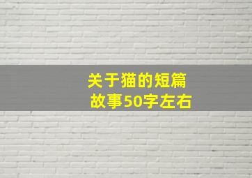 关于猫的短篇故事50字左右